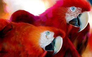 A pair of red parrot wallpaper thumb