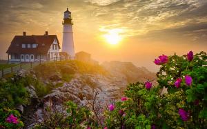 Lighthouse, morning, rocks, flowers, sunrise wallpaper thumb