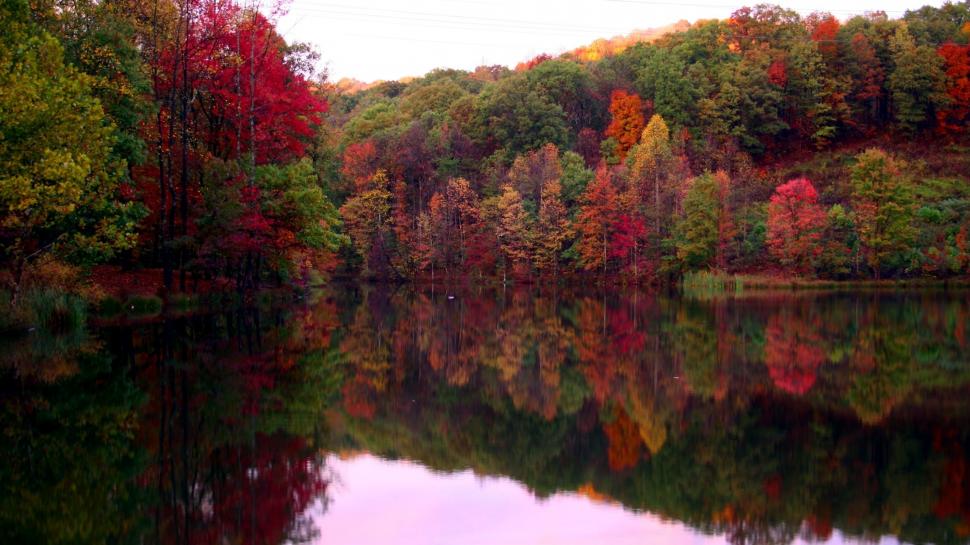 Autumn Trees Lake Reflection wallpaper,Autumn HD wallpaper,2560x1440 wallpaper