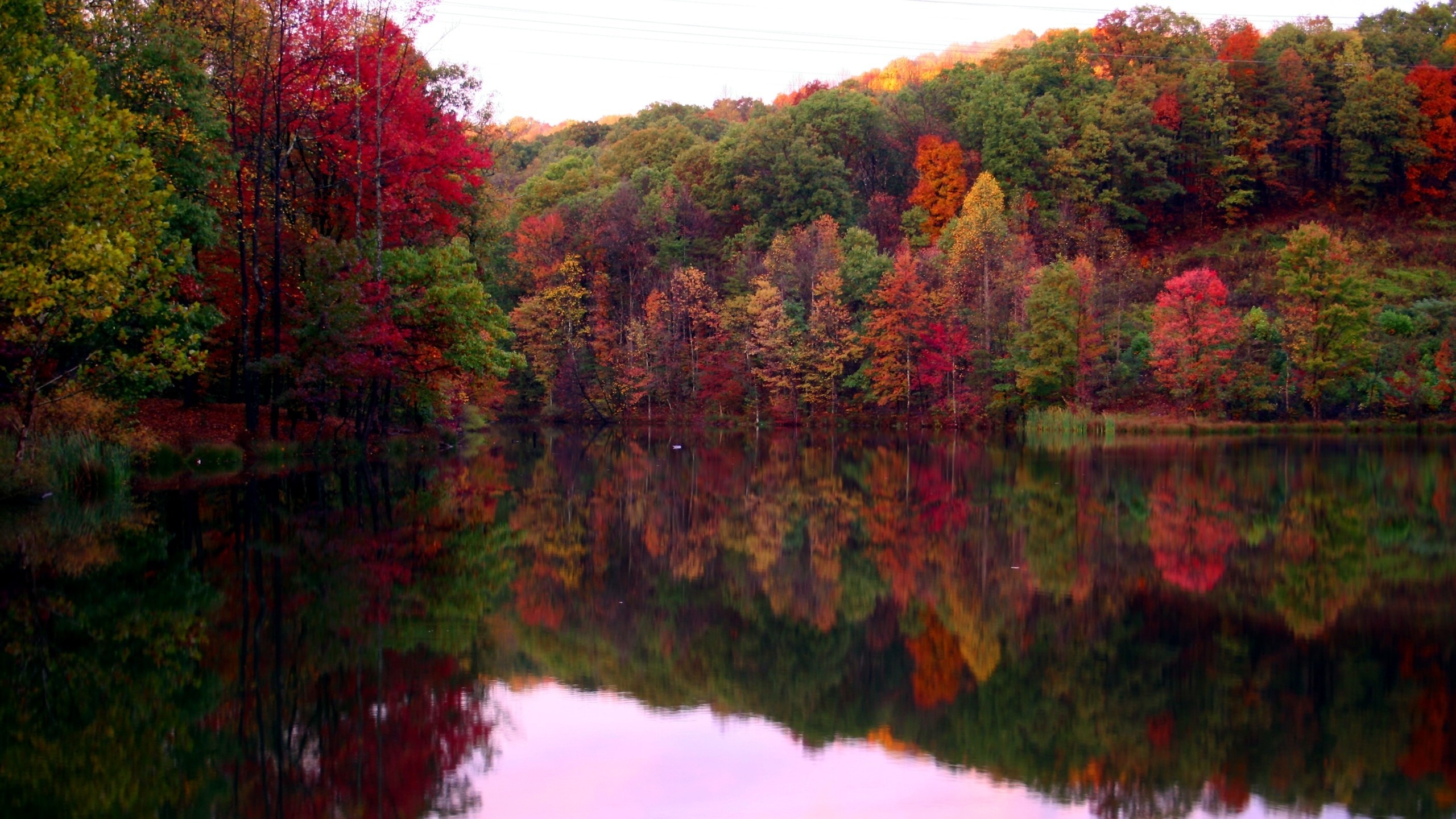 Autumn Trees Lake Reflection Wallpaper Nature And Landscape