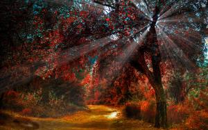 Nature red leaves in autumn, beautiful scenery, paths, sun light wallpaper thumb