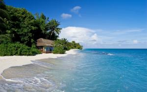 Maldives, tropical, sea, beach, palm trees, hut wallpaper thumb