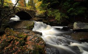 Waterfall Bridge Moss Forest Rocks Stones Stream Timelapse HD wallpaper thumb