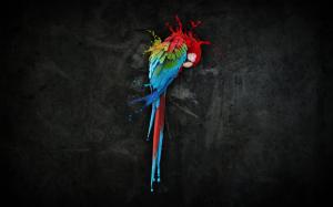 Painted macaw wallpaper thumb