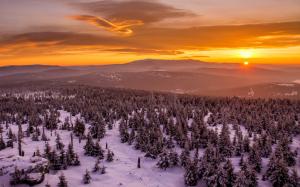 Winter, sunset, trees, snow, mountains, red sky wallpaper thumb