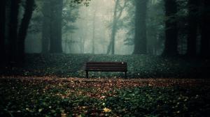 Lonely Bench in Forest wallpaper thumb