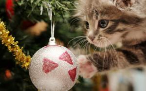 new year, christmas, kitten, sphere, fur-tree wallpaper thumb
