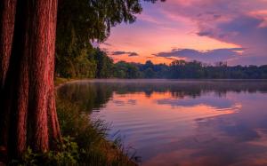 Purple dusk, forest, lake wallpaper thumb