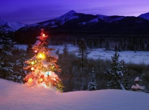 christmas tree, garland, snow, nature wallpaper thumb