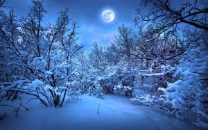 Winter snow night, trees, moonlight wallpaper thumb