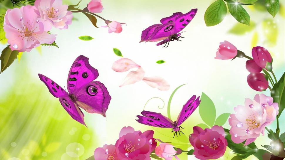 Butterflies Outshine The Blossoms wallpaper,cherry blossoms HD wallpaper,leaves HD wallpaper,pink HD wallpaper,spring HD wallpaper,apple blossoms HD wallpaper,sakura HD wallpaper,fresh HD wallpaper,light HD wallpaper,petals HD wallpaper,butterflie HD wallpaper,1920x1080 wallpaper