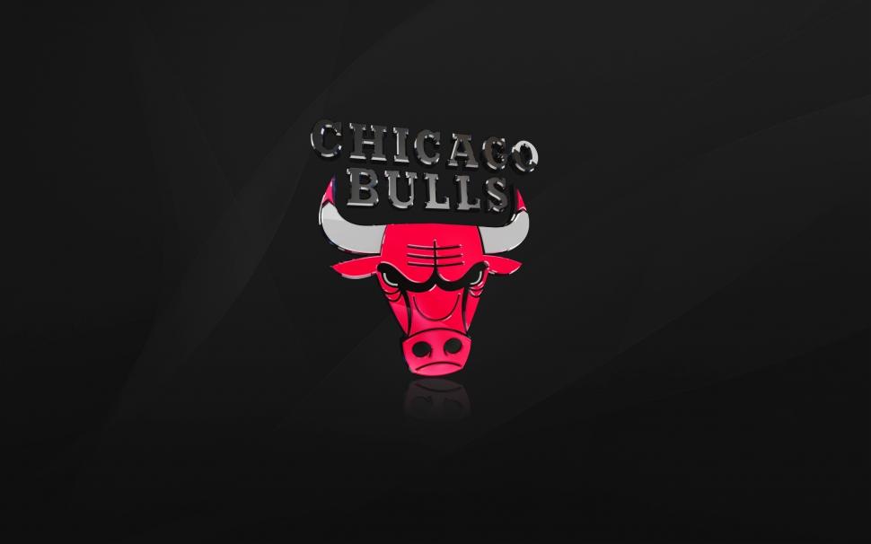The Chicago Bulls wallpaper,background HD wallpaper,2560x1600 wallpaper
