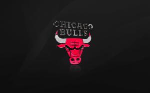 The Chicago Bulls wallpaper thumb