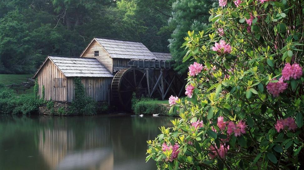 Lovely Grist Mill wallpaper,forest HD wallpaper,pond HD wallpaper,mill HD wallpaper,flowers HD wallpaper,nature & landscapes HD wallpaper,1920x1080 wallpaper