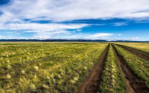 Mongolia, beautiful nature scenery, field, blue sky, clouds wallpaper thumb