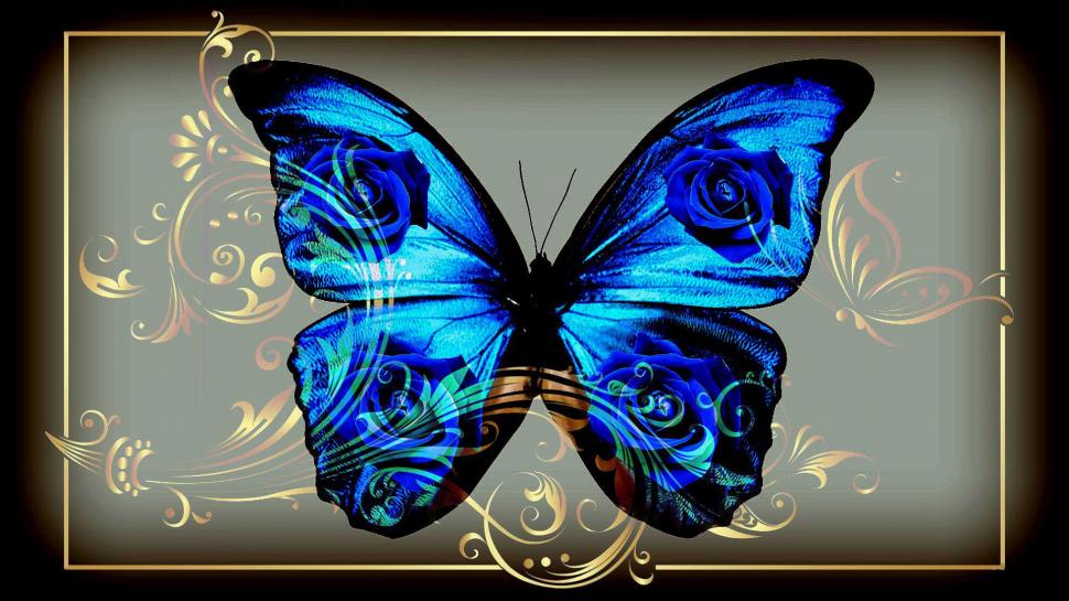 Butterfly Blue Jewelry wallpaper,photoshop HD wallpaper,flower HD wallpaper,jewel HD wallpaper,blue HD wallpaper,butterfly HD wallpaper,beautiful HD wallpaper,rose HD wallpaper,animals HD wallpaper,1920x1080 wallpaper