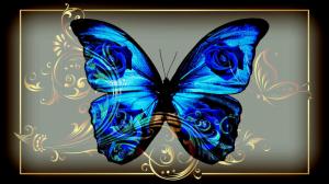 Butterfly Blue Jewelry wallpaper thumb