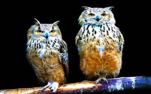 Twin Eagle Owl wallpaper thumb