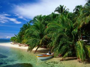 Beach boat coconut trees wallpaper thumb