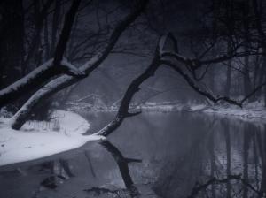 Trees Winter Snow Pond Reflection HD wallpaper thumb