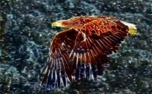 Glowing Eagle wallpaper thumb