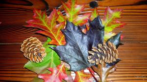 Leaves Cones wallpaper thumb