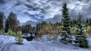 Winter, snow, forest, trees, river, clouds, dusk wallpaper thumb