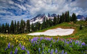 Mountains, flowers, sky, spring, grass wallpaper thumb
