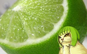 Cats Funny Lemons Free Background wallpaper thumb