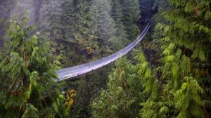 Capilano Suspension Bridge, British Columbia wallpaper thumb