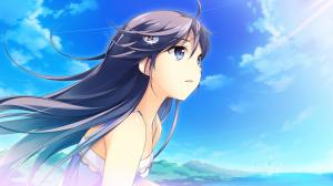 Blue hair anime girl, wind, blue sky wallpaper thumb
