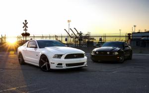Ford Mustang black and white cars wallpaper thumb