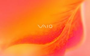 Sony Vaio Orange blossom wallpaper thumb