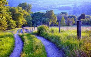 Nature scenery, fence, road, grass, trees wallpaper thumb