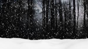 Snow In Forest wallpaper thumb