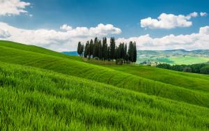 Italy, Tuscany, hills wallpaper thumb