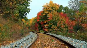 Train Tracks Through An Autumn Forest wallpaper thumb