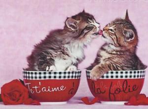 Two Kittens Kissing In A Cup With A Roses wallpaper thumb