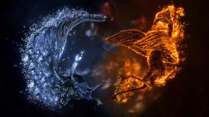 Ice And Fire Birds  For Desktop wallpaper thumb