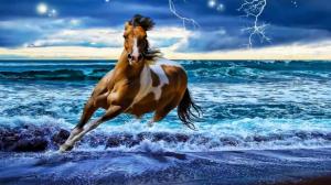 Fantasy Horse In Sea Sky wallpaper thumb
