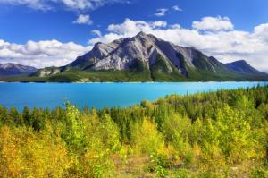 Abraham Lake, Canada, Alberta wallpaper thumb