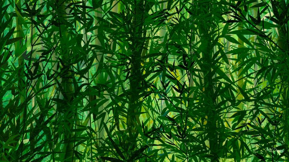 Bamboo Wild wallpaper,trees HD wallpaper,forest HD wallpaper,spring HD wallpaper,bamboo HD wallpaper,green HD wallpaper,summer HD wallpaper,nature & landscapes HD wallpaper,1920x1080 wallpaper