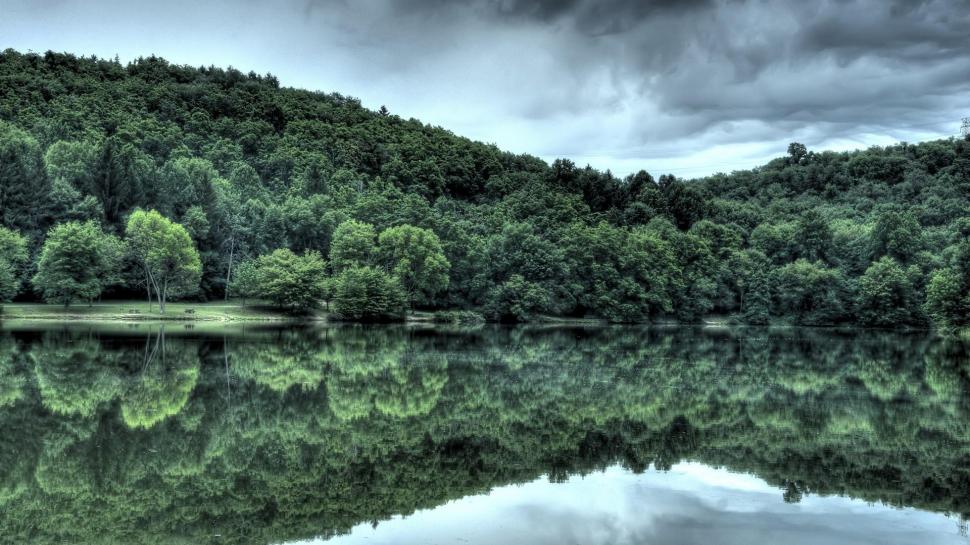 River reflecting the green forest wallpaper,nature HD wallpaper,1920x1080 HD wallpaper,tree HD wallpaper,forest HD wallpaper,river HD wallpaper,reflection HD wallpaper,1920x1080 wallpaper