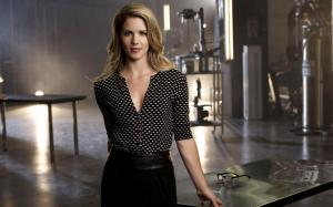 Arrow, season 2, Emily Bett Rickards wallpaper thumb