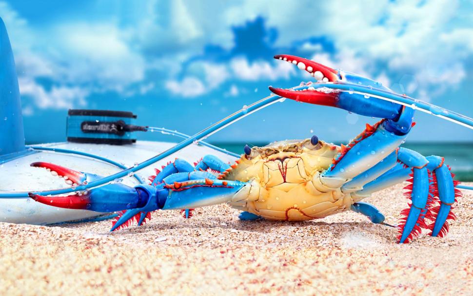 Colorful crab wallpaper,other animals HD wallpaper,colorful HD wallpaper,crab HD wallpaper,beach HD wallpaper,1920x1200 wallpaper