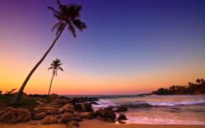 Sri Lanka sunset, sea, coast, beach, rocks, palm trees wallpaper thumb