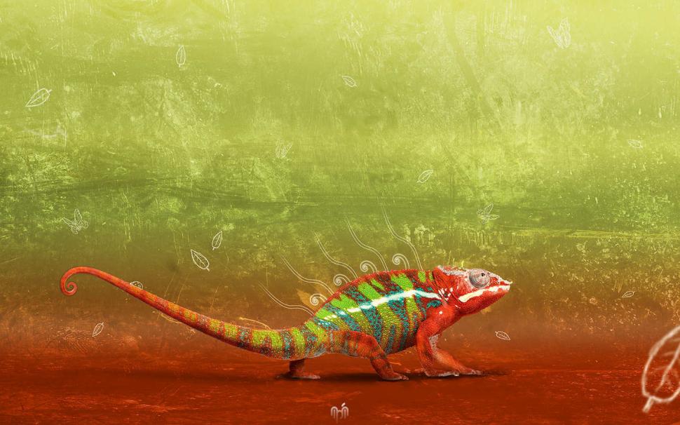 Chameleon wallpaper,animals wallpaper,1440x900 wallpaper