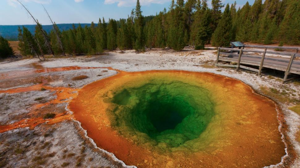 Nature, Yellowstone National Park, Trees wallpaper,nature HD wallpaper,yellowstone national park HD wallpaper,trees HD wallpaper,1920x1080 wallpaper