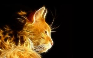 Photoshop Light Rays Cat Cats Fractal Photo Download wallpaper thumb