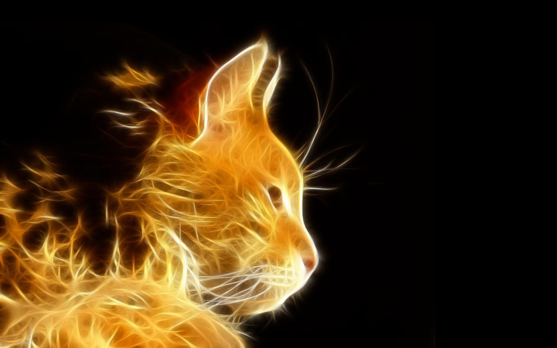 Photoshop Light Rays Cat Cats Fractal Photo Download wallpaper | other |  Wallpaper Better